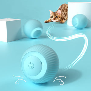 FREE TODAY | Pet Electric Automatic Rolling Interactive Ball Toy